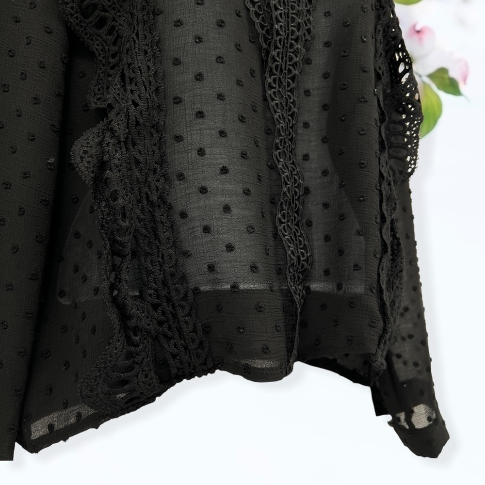 Sheer Blouse Long Sleeves - Picture 3 of 4
